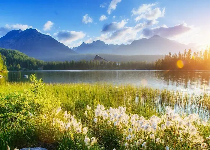 V+k Διαμέρισμα *